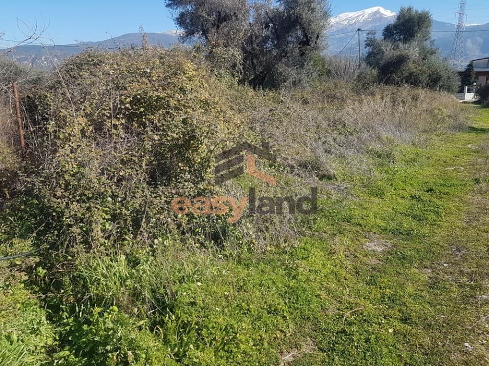 Building Plot in Lalioti, Messatida — Photo 18 of 26