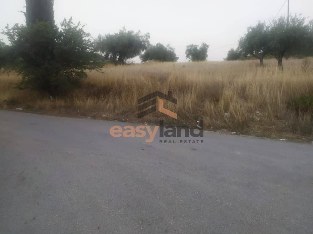 Building Plot in Platanovrisi, Fares — Photo 5 of 7
