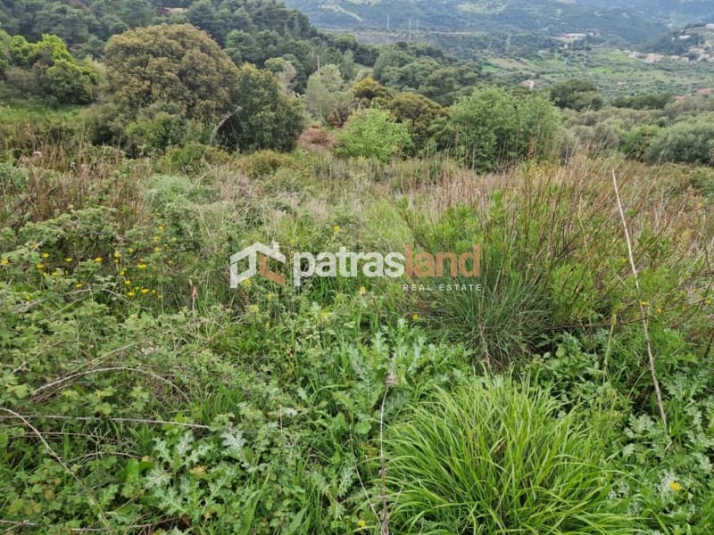 Μονοκατοικία στην Καλλιθεόκαμπος, Μεσσατίδα — Φωτογραφία 14 από 24