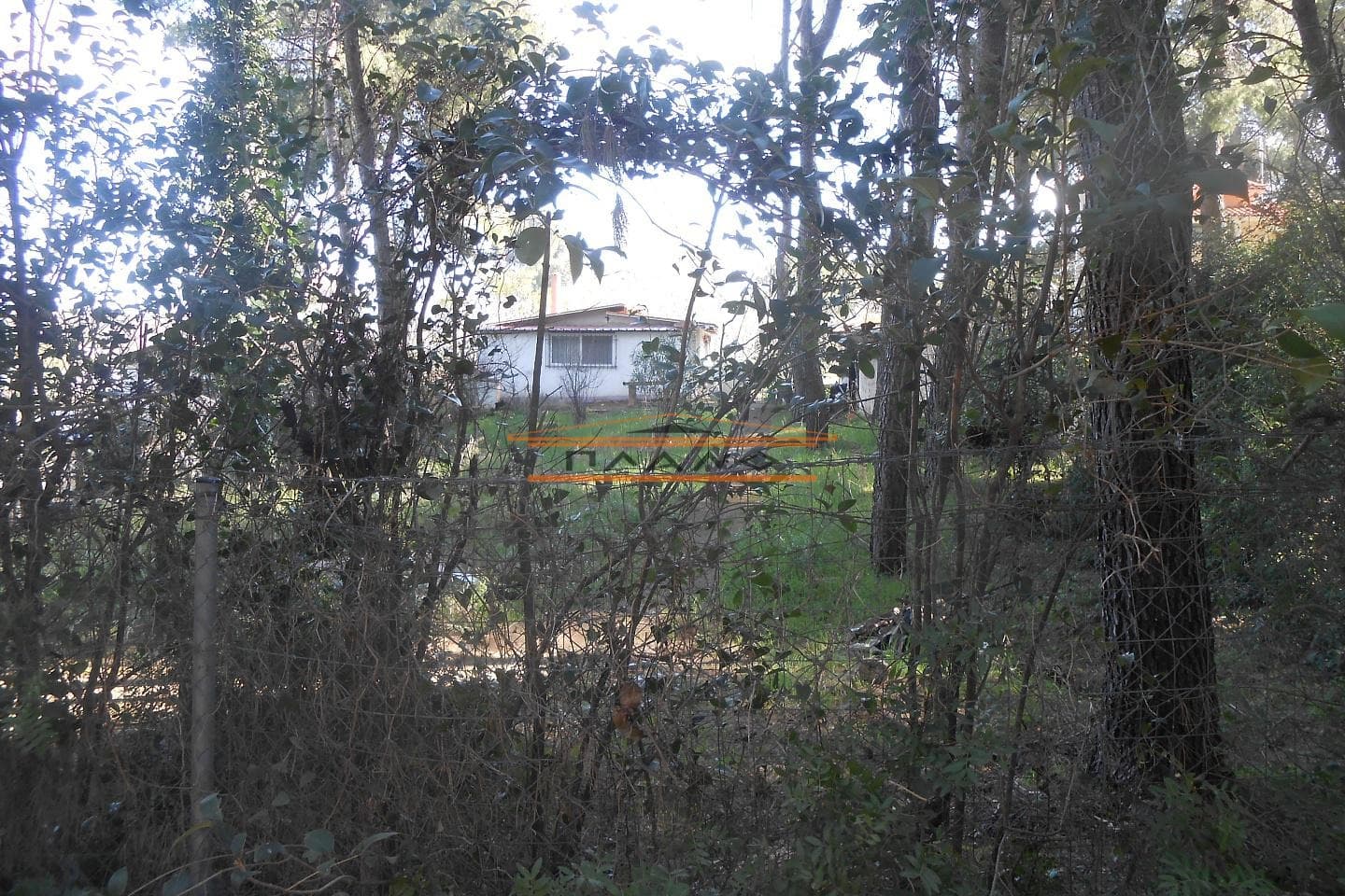 House in Agioi Theodoroi, Anoixi — Photo 7 of 9