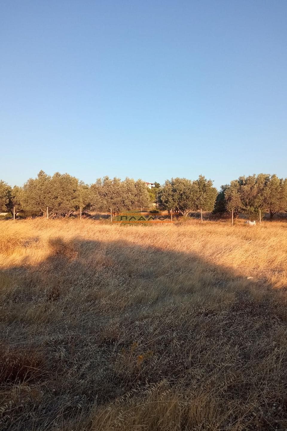 Οικόπεδο στην Κέντρο, Μαρκόπουλο — Φωτογραφία 1 από 3