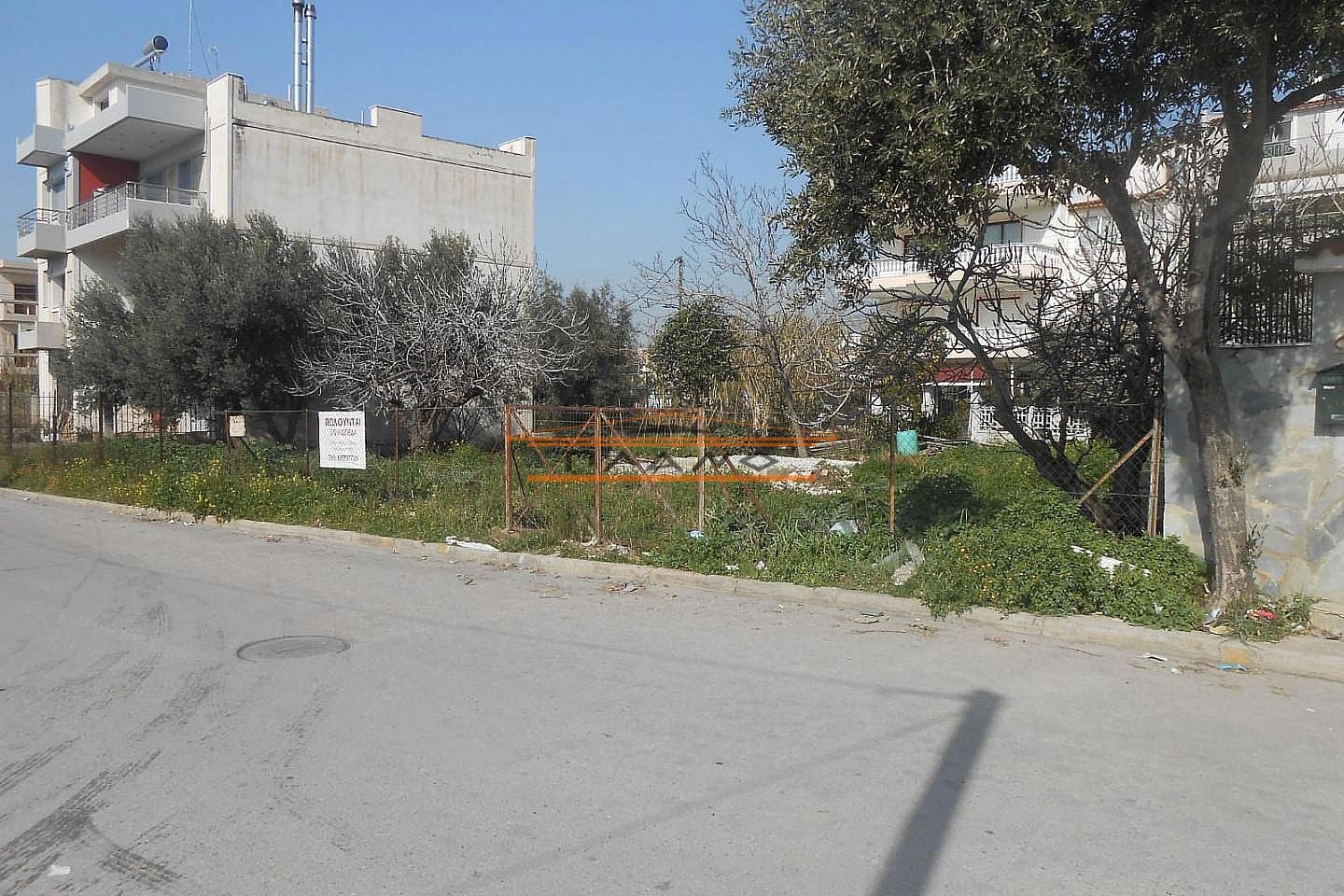 Building Plot in Megala Sxoinia A, Acharnes — Photo 6 of 6