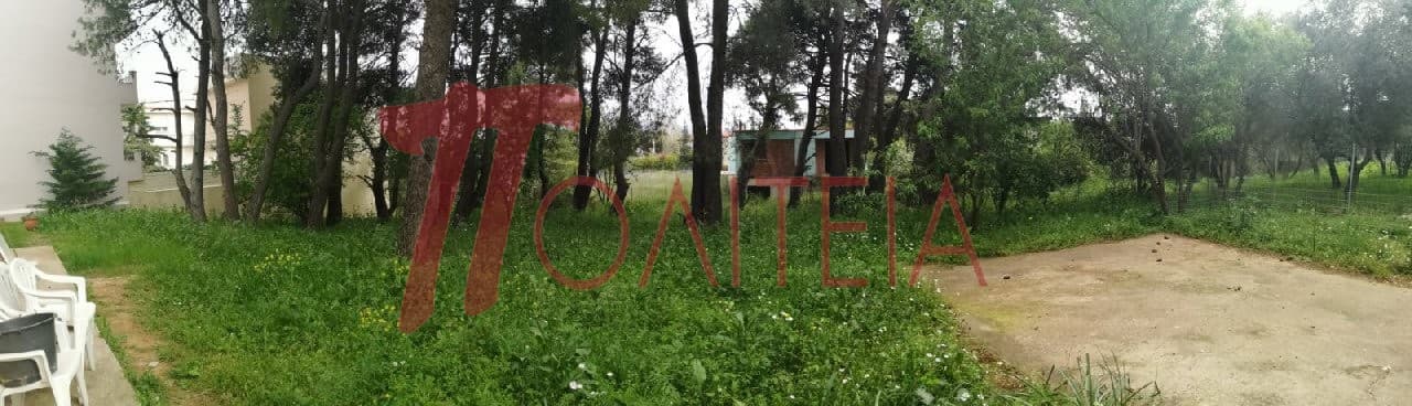 Οικόπεδο στην Δάσος Κουρεμένου, Άγιος Στέφανος — Φωτογραφία 7 από 18