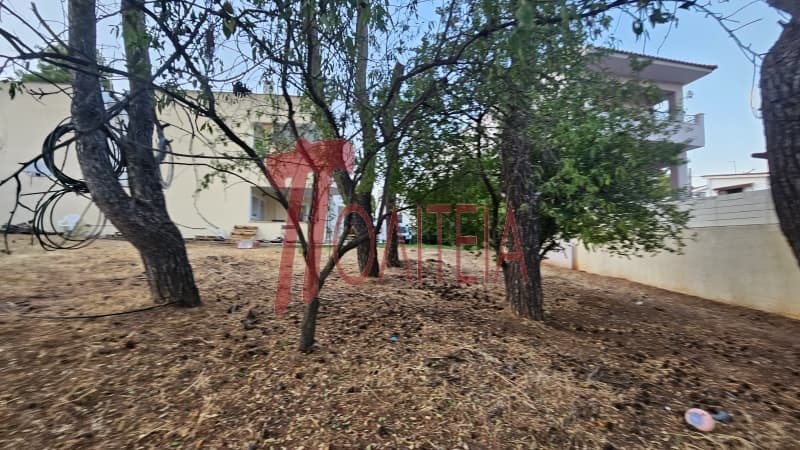 Οικόπεδο στην Δάσος Κουρεμένου, Άγιος Στέφανος — Φωτογραφία 6 από 18
