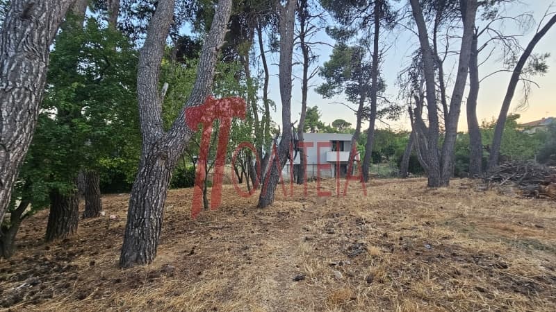 Οικόπεδο στην Δάσος Κουρεμένου, Άγιος Στέφανος — Φωτογραφία 4 από 18