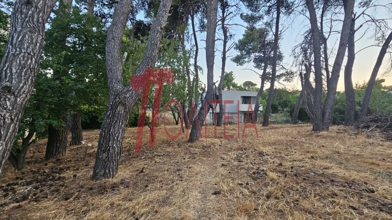 Οικόπεδο στην Δάσος Κουρεμένου, Άγιος Στέφανος — Φωτογραφία 1 από 18
