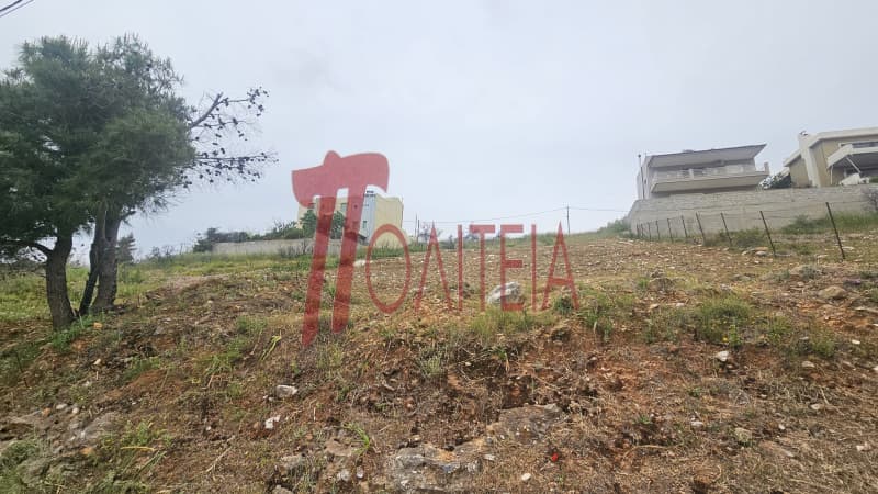 Οικόπεδο στην Δασαμάρι, Πικέρμι — Φωτογραφία 24 από 30