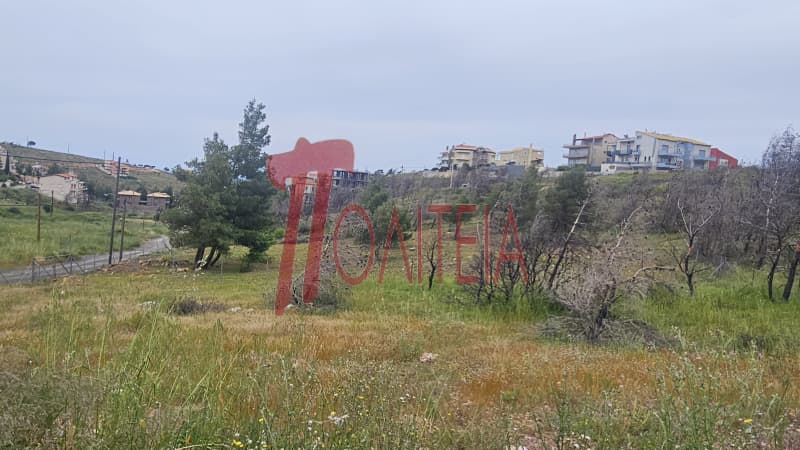 Οικόπεδο στην Δασαμάρι, Πικέρμι — Φωτογραφία 6 από 30