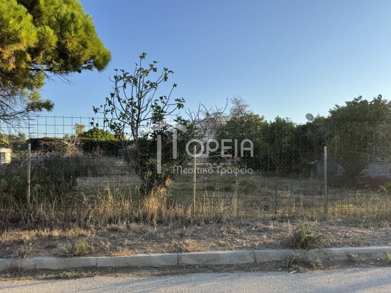 Οικόπεδο στην Καλύβια, Καλύβια Θορικού — Φωτογραφία 3 από 3
