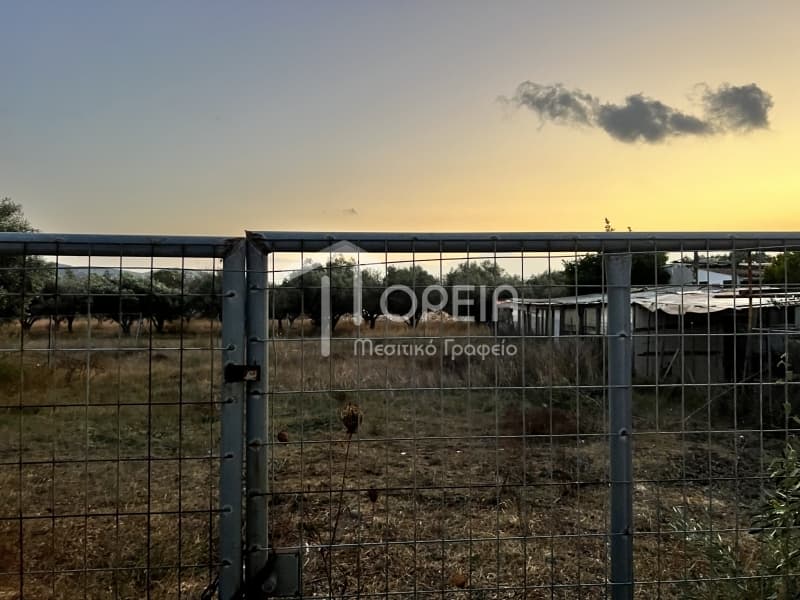 Building Plot in Anavyssos Center, Anavissos — Photo 2 of 3
