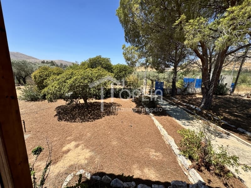 Μονοκατοικία στην Άγιος Παντελεήμονας, Ανάβυσσος — Φωτογραφία 19 από 30