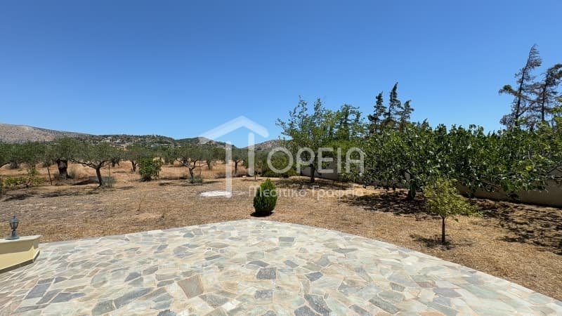 Μονοκατοικία στην Άγιος Παντελεήμονας, Ανάβυσσος — Φωτογραφία 6 από 30
