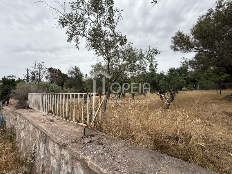 Οικόπεδο στην Σαρωνίδα, Σαρωνίδα — Φωτογραφία 5 από 5