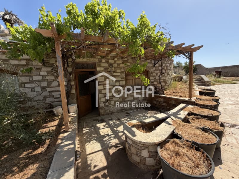 House in Kalivia, Kalivia Thorikou — Photo 17 of 30