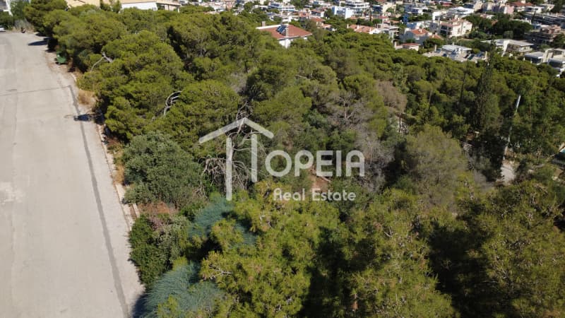 Οικόπεδο στην Σαρωνίδα, Σαρωνίδα — Φωτογραφία 6 από 9