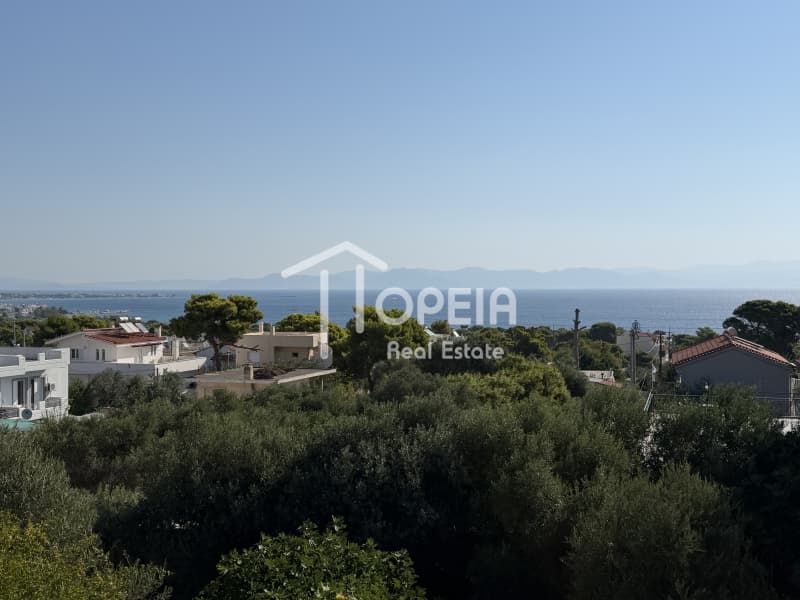 Μονοκατοικία στην Βορινέζα, Αρτέμιδα (Λούτσα) — Φωτογραφία 10 από 30