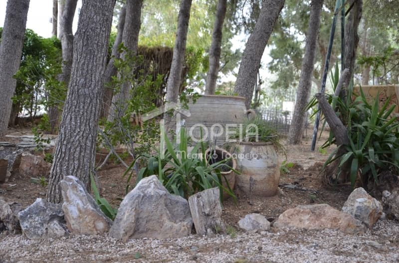 House in Alikes - Lakka, Anavissos — Photo 14 of 30