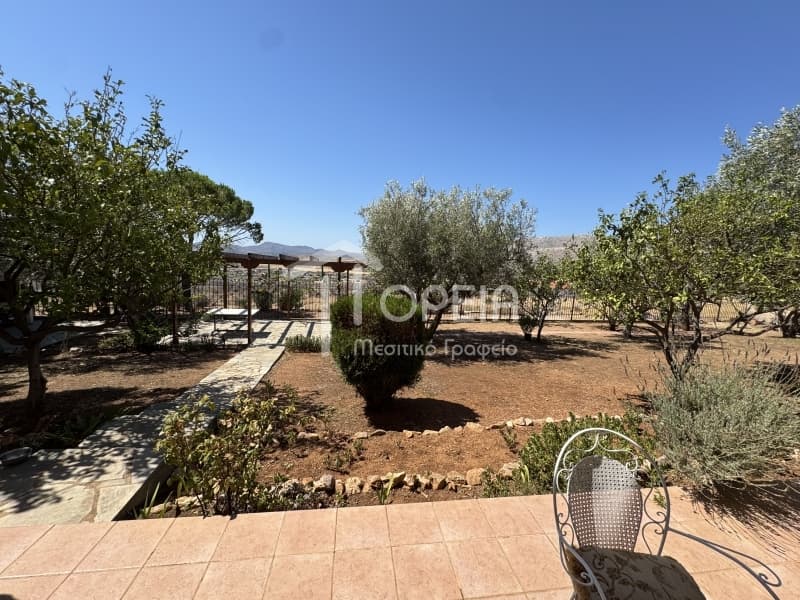 Apartment in Feriza, Anavissos — Photo 13 of 18