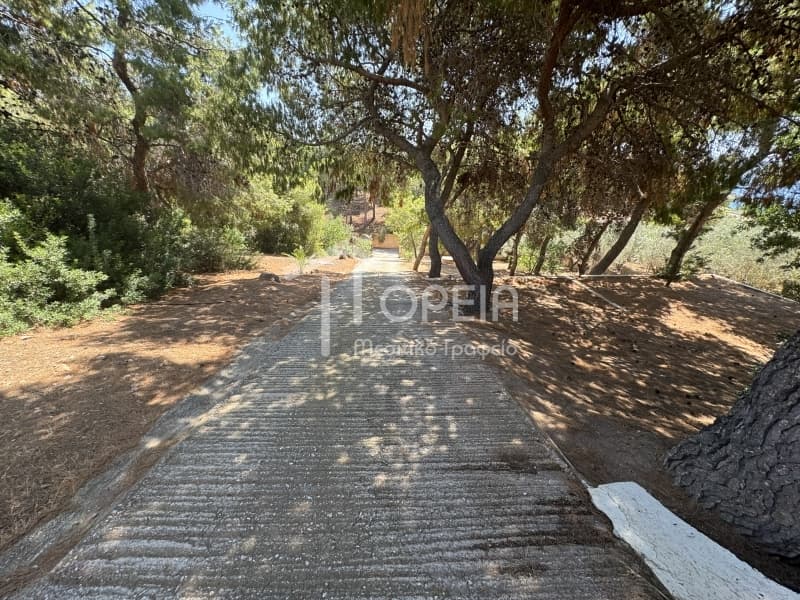 Μονοκατοικία στην Παραλία, Ανάβυσσος — Φωτογραφία 29 από 30