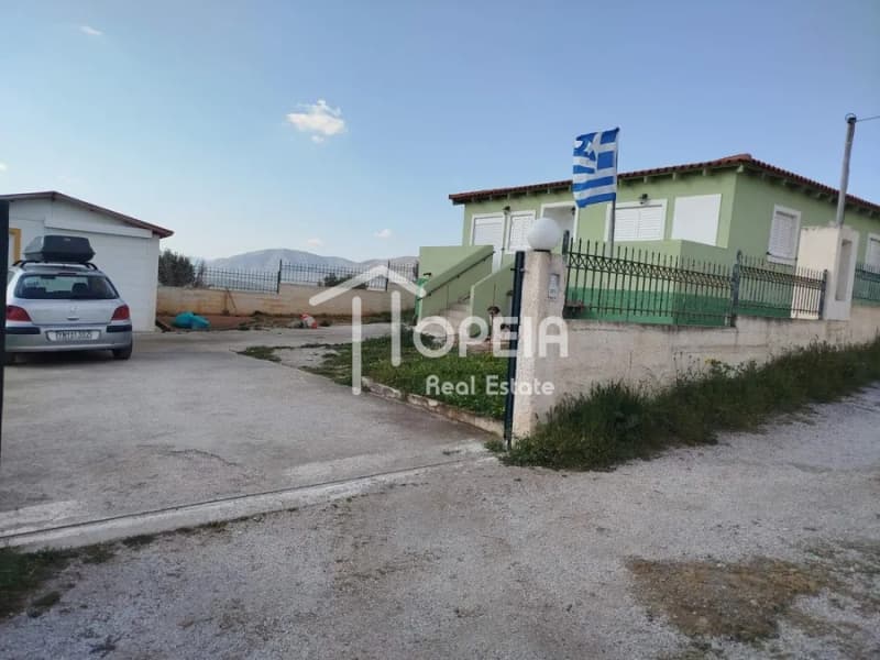 Μονοκατοικία στην Συντερίνα, Ανάβυσσος — Φωτογραφία 16 από 16