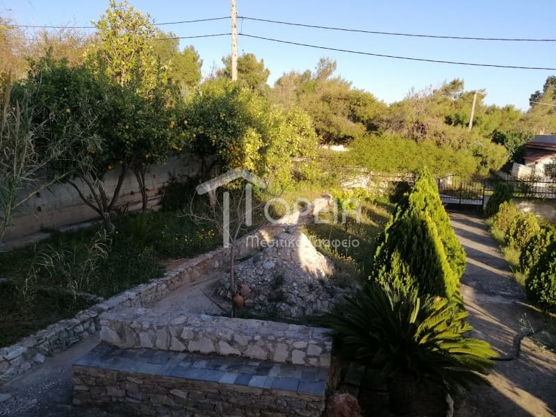 House in Kalivia, Kalivia Thorikou — Photo 16 of 30
