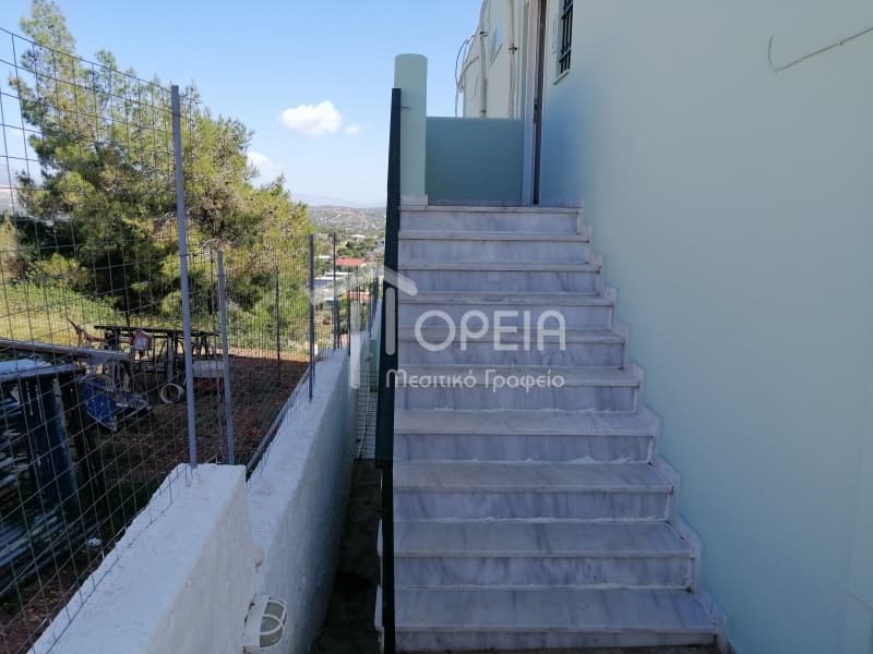 House in Agia Marina, Koropi — Photo 11 of 30