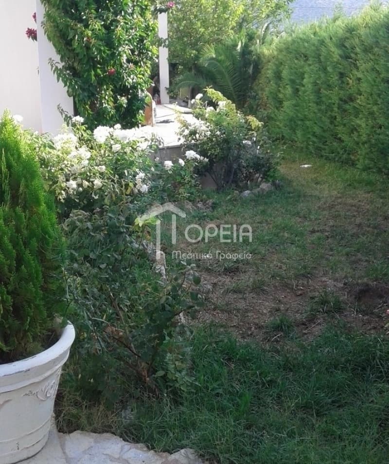 House in Kalivia, Kalivia Thorikou — Photo 8 of 9