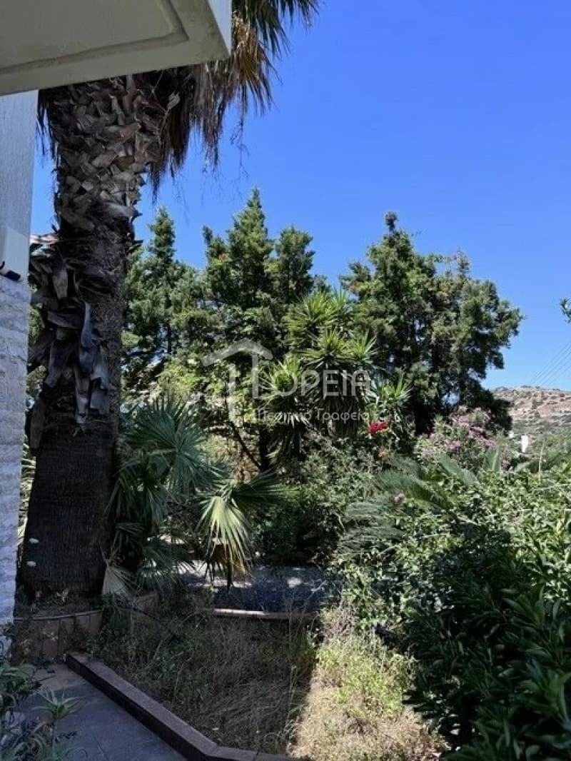 House in Kalivia, Kalivia Thorikou — Photo 10 of 11