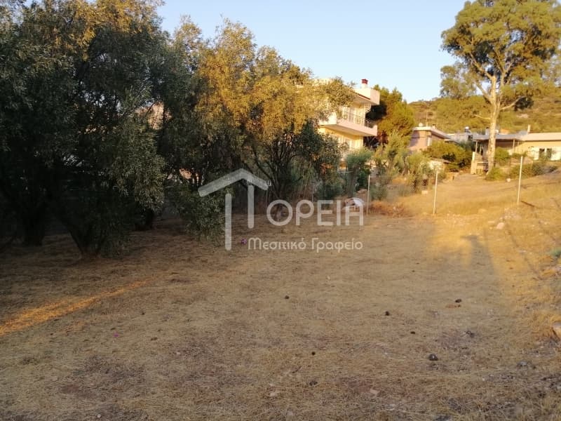 Οικόπεδο στην Γαλάζια ακτή, Καλύβια Θορικού — Φωτογραφία 3 από 7