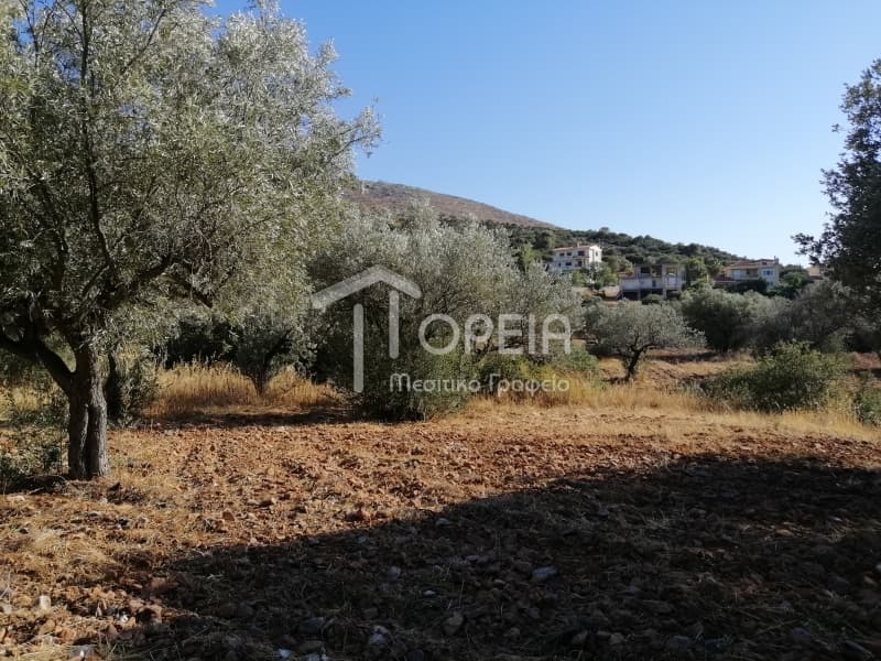 Οικόπεδο στην Κέντρο, Καλύβια Θορικού — Φωτογραφία 6 από 7