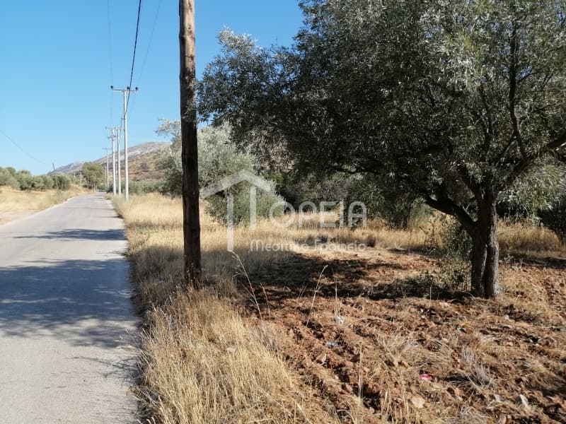 Οικόπεδο στην Κέντρο, Καλύβια Θορικού — Φωτογραφία 3 από 7