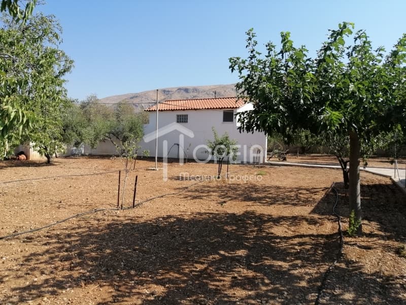 House in Kalivia, Kalivia Thorikou — Photo 23 of 25