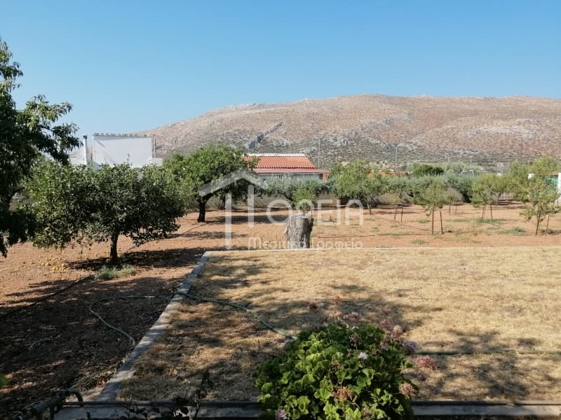 House in Kalivia, Kalivia Thorikou — Photo 21 of 25