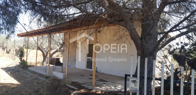 House in Kefleika, Kalivia Thorikou — Photo 6 of 8