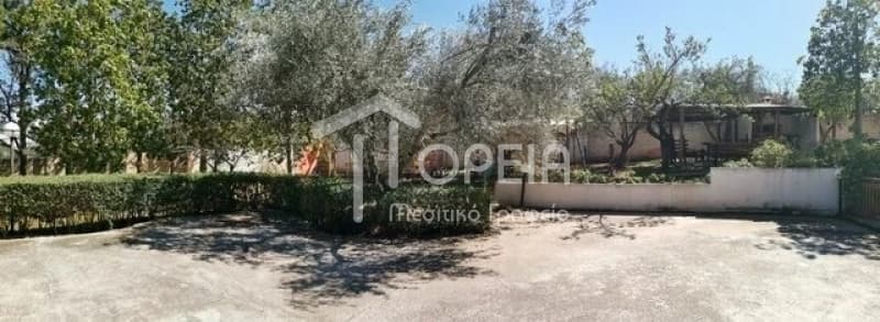 Μονοκατοικία στην Αγία Μαρίνα, Κορωπί — Φωτογραφία 18 από 21