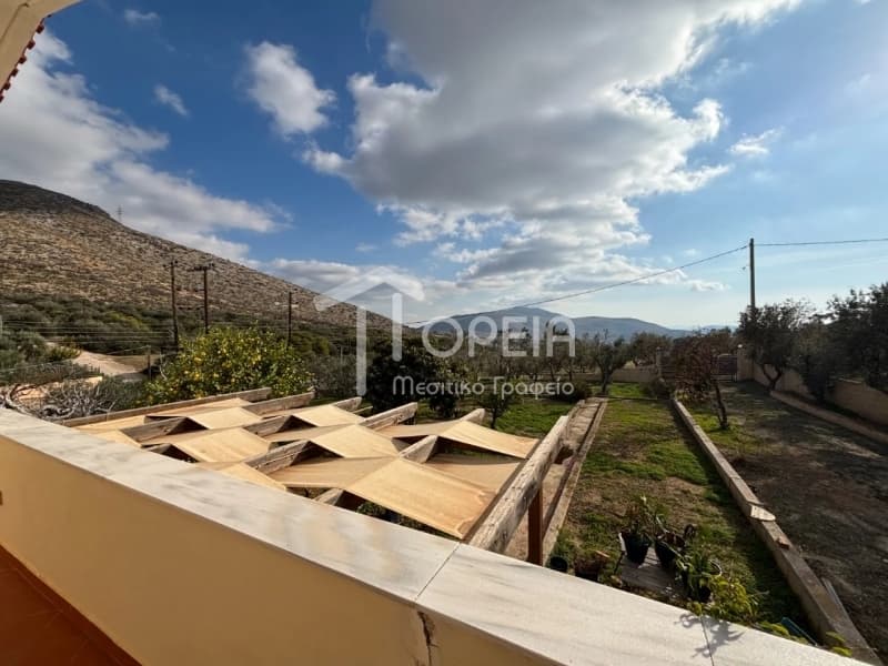 Μονοκατοικία στην Καλύβια, Καλύβια Θορικού — Φωτογραφία 3 από 22