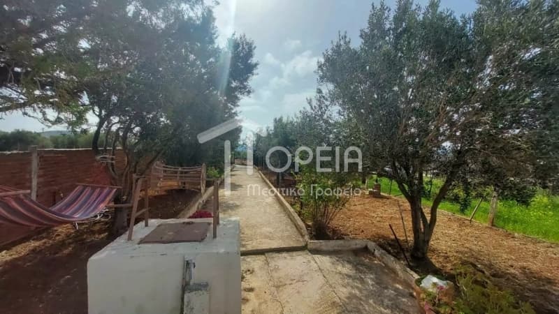 Μονοκατοικία στην Καλύβια, Καλύβια Θορικού — Φωτογραφία 22 από 25