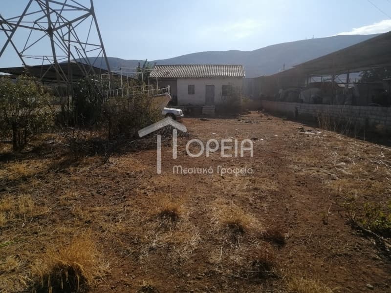 House in Galazia akti, Kalivia Thorikou — Photo 4 of 5