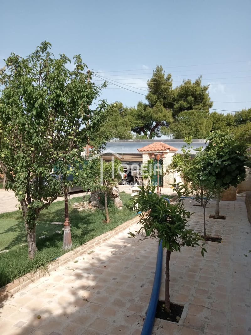House in Kalivia, Kalivia Thorikou — Photo 4 of 7