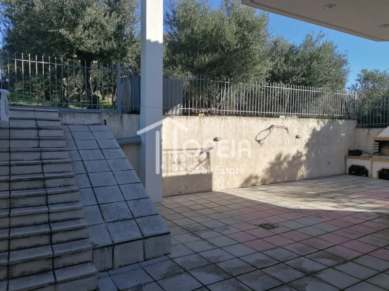 House in Agia Triada, Markopoulo — Photo 11 of 11