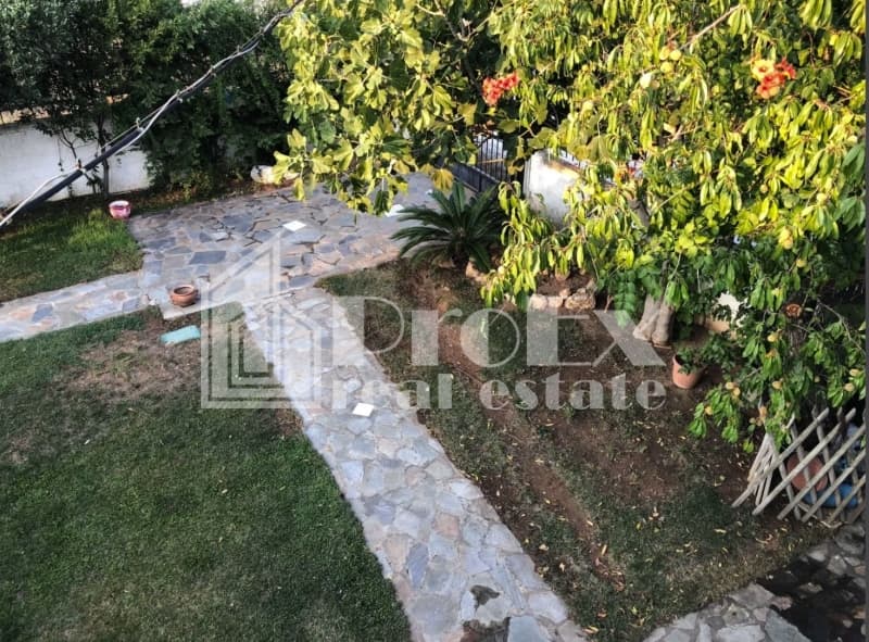 Μονοκατοικία στην Νεάπολη, Σπάτα — Φωτογραφία 4 από 20