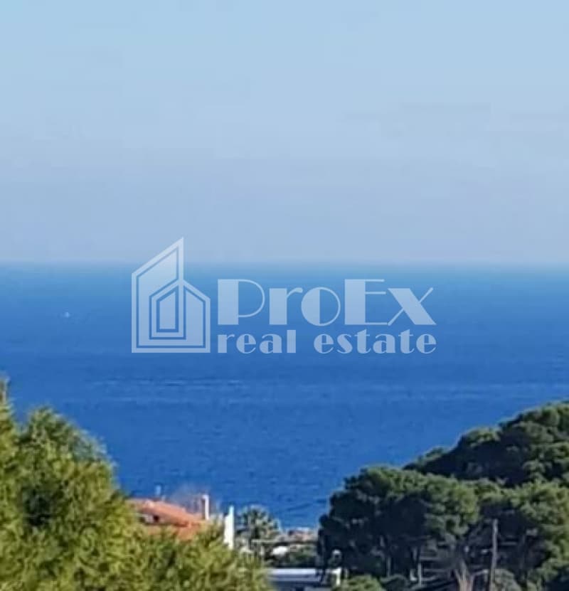 Μονοκατοικία στην Βορινέζα, Αρτέμιδα (Λούτσα) — Φωτογραφία 4 από 4