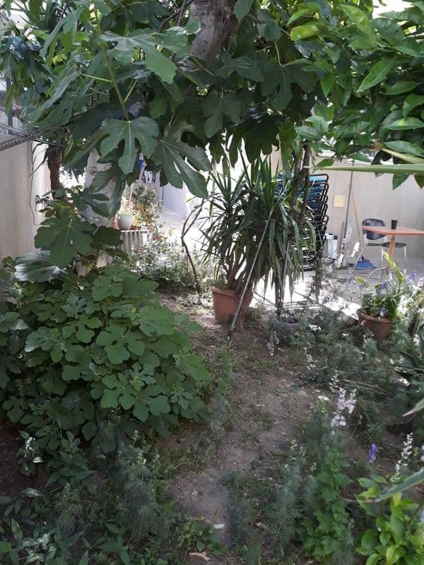 House in Palatiani, Ilion — Photo 13 of 15