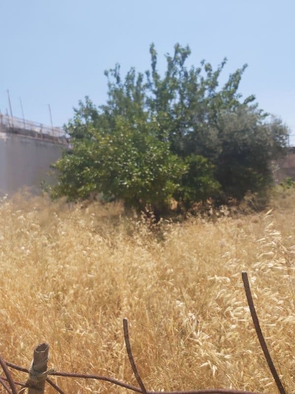Building Plot in Nea Charavgi, Kamatero — Photo 3 of 5
