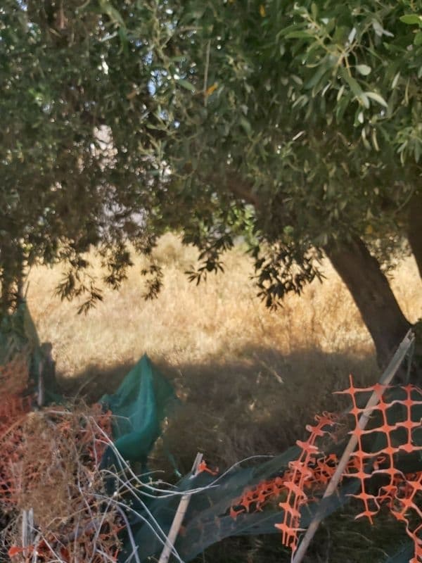 Building Plot in Nea Charavgi, Kamatero — Photo 4 of 5