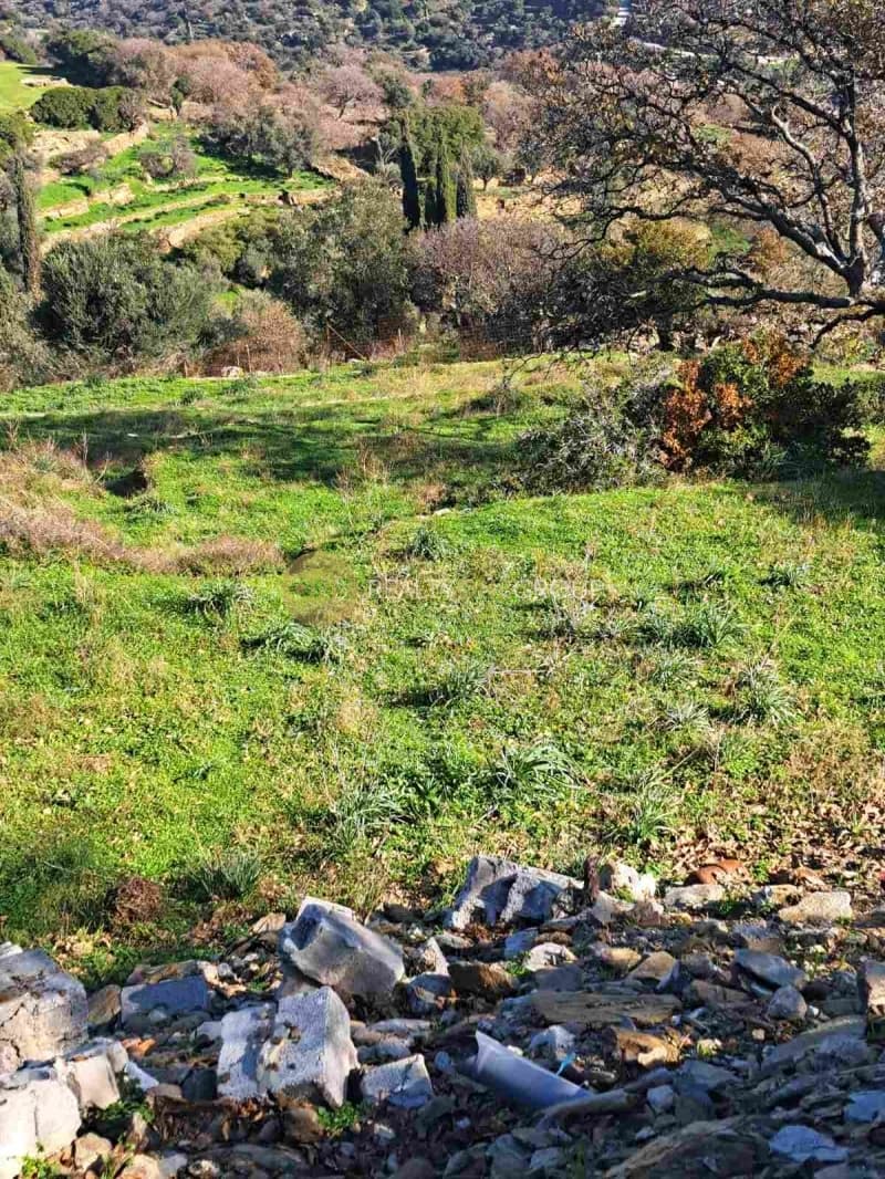 Αγροτεμάχιο στην Αλαδινό, Άνδρος — Φωτογραφία 14 από 16