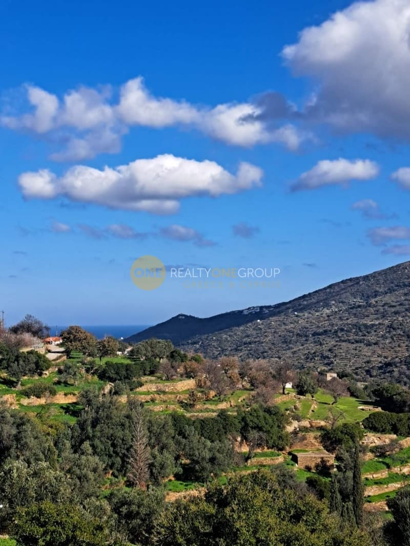 Αγροτεμάχιο στην Αλαδινό, Άνδρος — Φωτογραφία 15 από 16