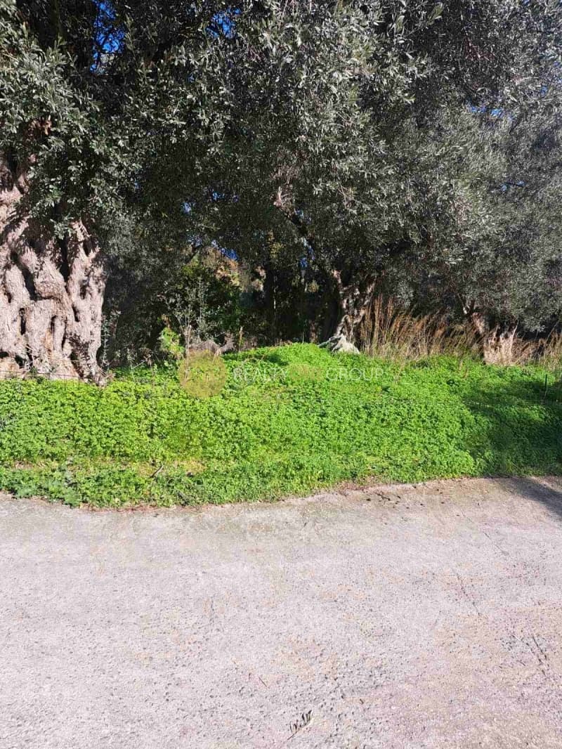 Αγροτεμάχιο στην Λάμυρα, Άνδρος — Φωτογραφία 11 από 11
