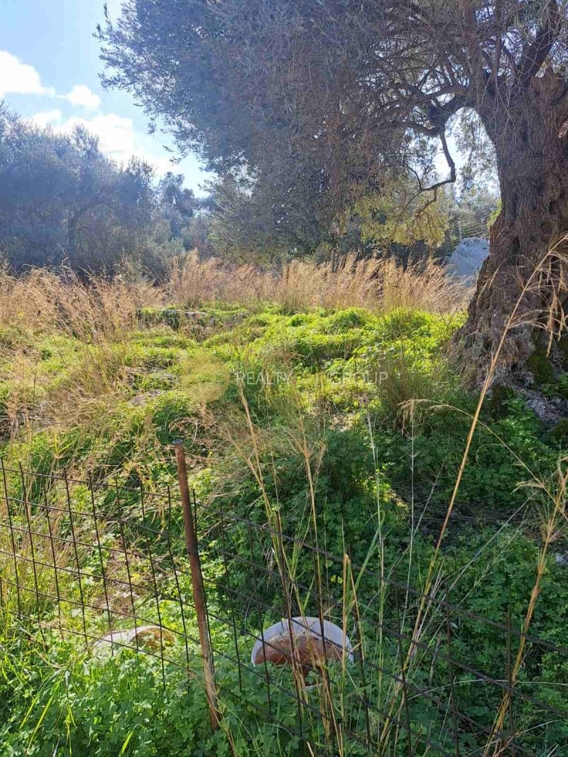 Αγροτεμάχιο στην Λάμυρα, Άνδρος — Φωτογραφία 8 από 11