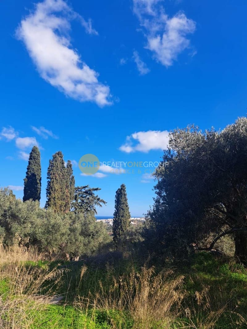 Αγροτεμάχιο στην Λάμυρα, Άνδρος — Φωτογραφία 7 από 11
